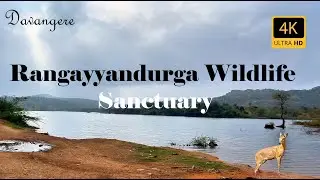 Rangayyanadurga Wildlife Sanctuary | Kondukuri | Four-horned Antelope | Jagaluru | Davangere