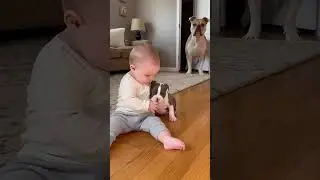 #baby #funny #funnybaby #reels #video #viralvideo #tiktok #trending #india #instagood #youtubeshorts