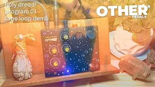 Other* Pedals - holy dread! Program 01 Small Hall - Tape Loop Demo
