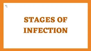 Stages of Infection or Disease in Microbiology (Incubation, prodromal, Illness, and Convalescence)