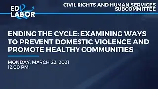 Ending the Cycle: Examining Ways to Prevent Domestic Violence and Promote Healthy Communities