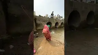 A woman catches fish from a large dam with a hook | amazing fishing in the canal | #fishing #shorts