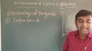 Determinants of supply