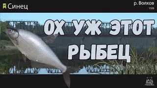 ЗАРАБОТОК СЕРЕБРА • ВОЛХОВ •  Русская  рыбалка 4 • РР4