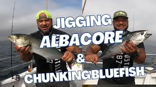 JIGGING ALBACORE AND CHUNKING BLUEFISH!
