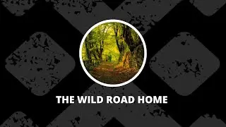 The Wild Road Home