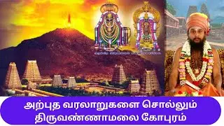 வாழ்க்கையை உணர வைக்கும் திருக்கோயில் திருவண்ணாமலை - காசியில விசேஷம் தீர்த்தம்,இங்கு விசேஷம் சுவாமி..