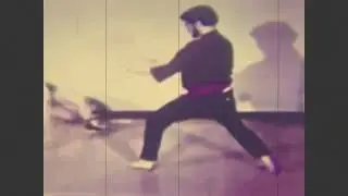 Count Dante Deadliest Fighting Techniques