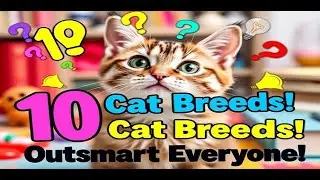 These 10 Cat Breeds Outsmart Everyone! #SmartCats #CatBreeds
