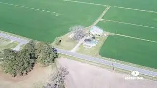 105 acres of Cropland for Sale In Beaufort County NC!