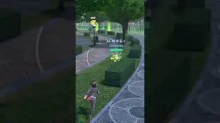 Shiny Chikorita! (Pokemon Legends Z-A #708)