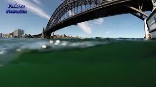 Diving for a PORSCHE submerged Under The Sydney Harbour Bridge