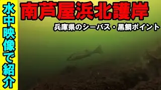 キャナルパ－ク南芦屋浜北護岸の釣りポイントを水中映像で紹介！シーバス・黒鯛釣り人必見