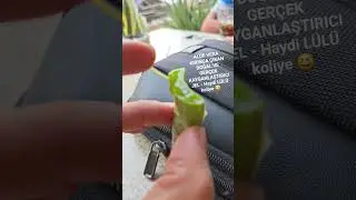 aloe vera bitkisinin doğal kayganlaştırıcı jel i&ccedil;eriği. #aloevera #aloeveragel #lubricant