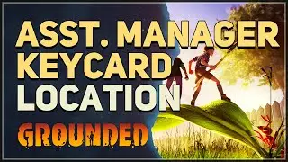 Asst. Manager Keycard Location Grounded