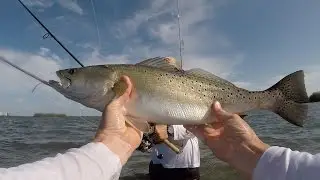 Indian River Trout