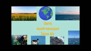 Our Environment is dying | Climate Crisis Reason | save the earth #youtubeshorts #environment #earth