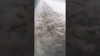 Morbi, Gujarat🌧️⛈️🌧️Machchhu dam