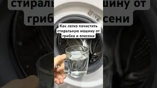 Чистим стиральную машину от плесени #лайфхак #совет #usa