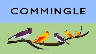 Commingle