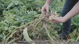 SoildiverAgro's first phase and stakeholders