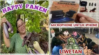UNBOXING MIC CLIP ON UNTUK VOICE OVER DENGAN SISTEM DENOISE // SETELAH PANEN ANEKA SAYUR HASIL KEBUN