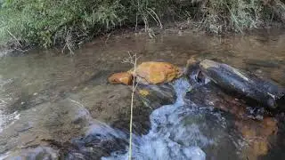 Chestatee River Dahlonega, GA