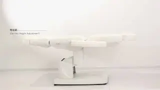Korea Style Electric Facial BedSalon Minimalist SPA Thermal Massage Table 4 Motors Height Adjustable