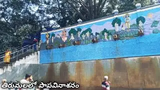 తిరుమలలో పాపవినాశనం/Papavinasanam In Tirumala/tirupati tirupati papavinasanam temple #papavinasanam