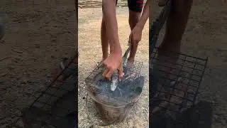 Roast crocodile #cooking #food