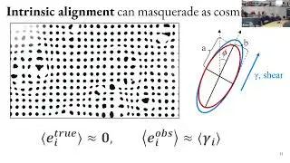 TASTY: Attacking astrophysical systematics of weak gravitational lensing with external probes