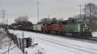 Railfanning BNSF & CP (BN 1439, 3022, 1462, 9800 & 9799, ATSF 647, ILSX, DLCX , CP CWR Rail Train)