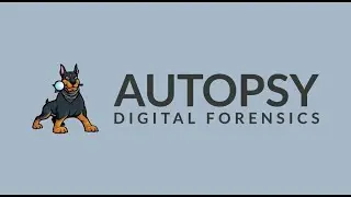 Autopsy - Operating System and User Data