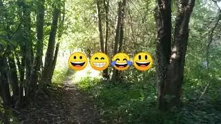 Positieve gedachten tijdens een wandeling