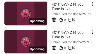 ዜድ  ZH TUb is live! Hello