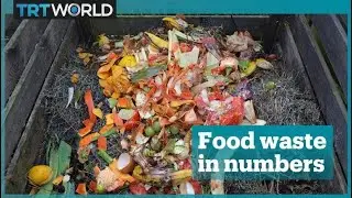 America's food waste problem