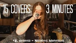15 COVERS IN 3 MINUTES (METAL) - JIM MAJURI