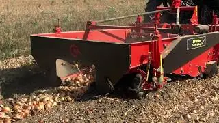 CHECCHI & MAGLI - Onion digger SP onion
