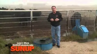 Cow-Calf Corner: Mineral Needs for Cattle (11/07/15)