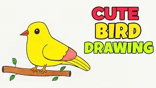 Cute Yellow Bird Drawing on Branch | Easy & Colorful Bird Art