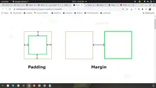 Margin Vs Padding in HTML/CSS between divs | Difference