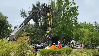 John Sutter Statue In Sacramento Being Removed
