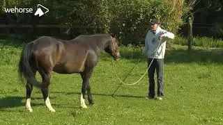 Zirkeln & das F&uuml;hren aus der Sattellage - Natural Horsemanship verstehen | Jenny Wild & Peer Cla&szlig;en