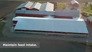 Cool-FX for the livestock sector