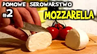MOZZARELLA taka na pizzę - jak ją zrobić krok po kroku - Domowe Serowarstwo, odc. 2