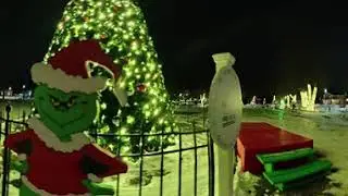 Plainfield Illinois- 360&deg; 🎄-Village Green- Christmas Tree 2025