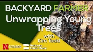 Why You MUST Remove Tree Wrap in Spring | Prevent Tree Damage