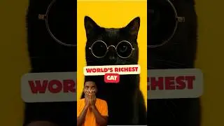 World's Richest Cat