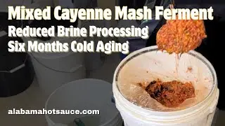 Mixed Cayenne Mash Ferment Opening - Aged for 6 Months in Low Brine Level #alabamahotsauce.com
