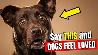 7 Words That Make Your Dog Know You Love Them (Instantly!) | Dog Words